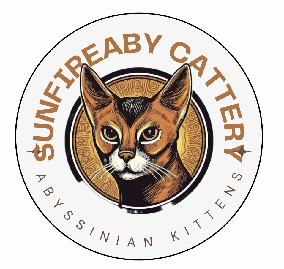 Sunfire Aby Cattery